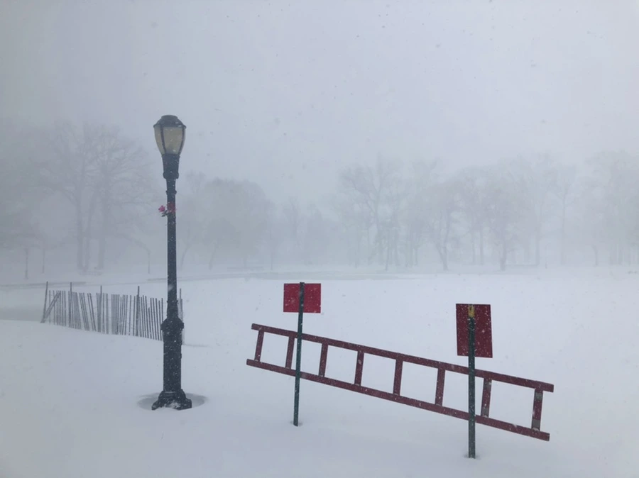 IMG_8814.jpg?type=w966