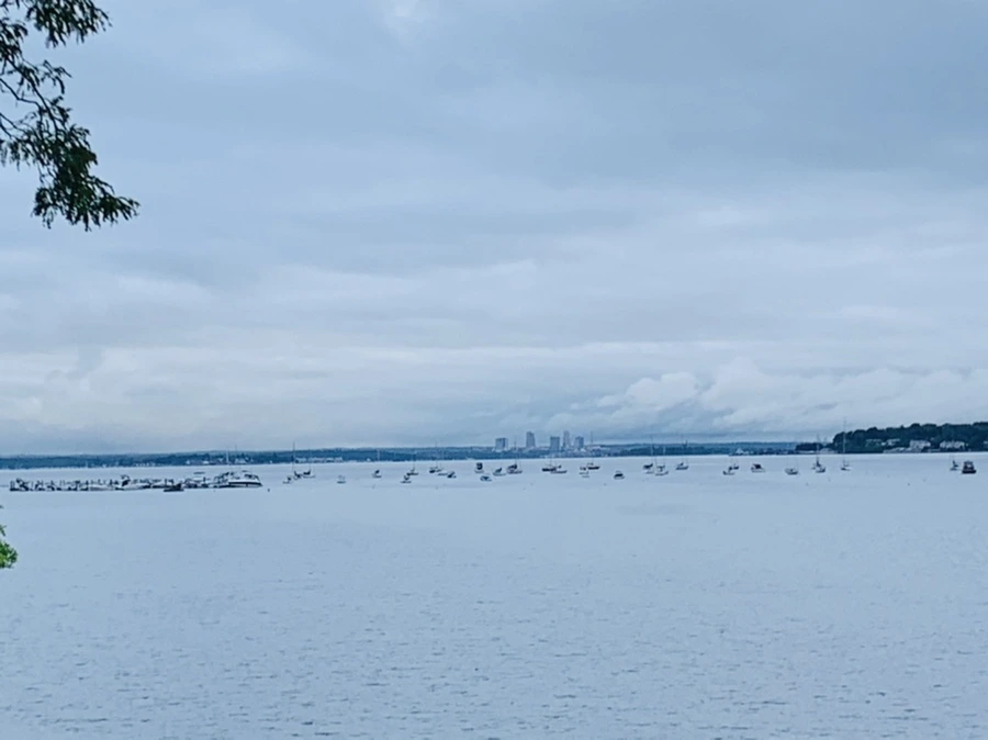 IMG_7773.jpg?type=w966