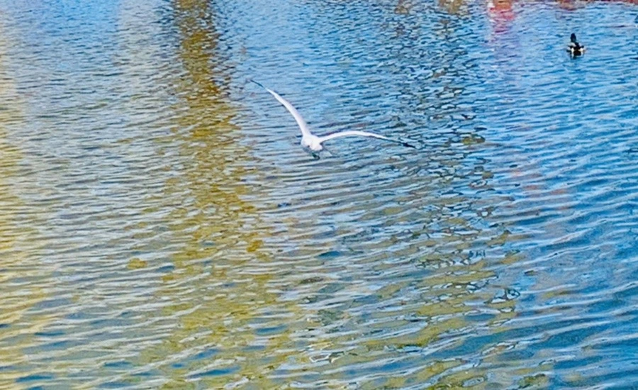 TtPwqqii3zVq2qY9izumHiO70-k