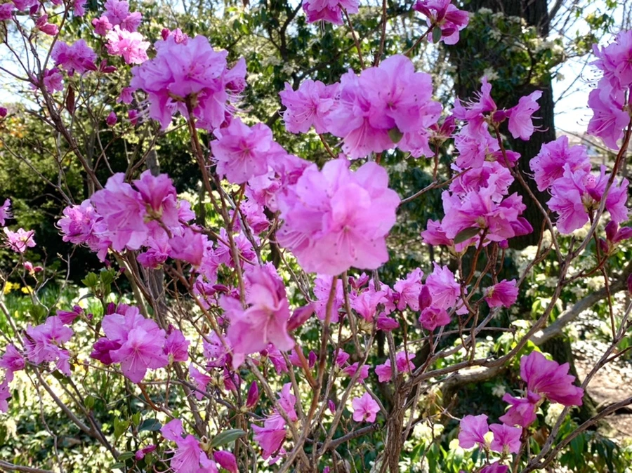 IMG_5634.jpg?type=w966