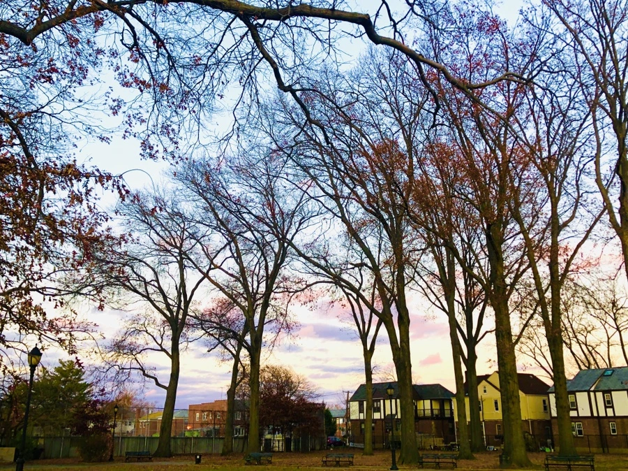 IMG_5833.jpg?type=w966