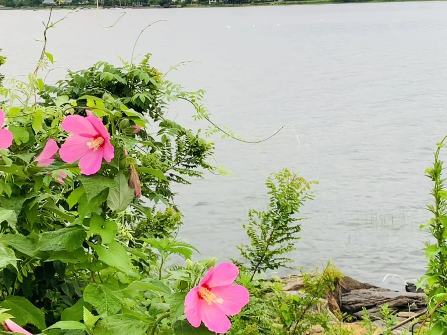 IMG_7724.jpg?type=w966