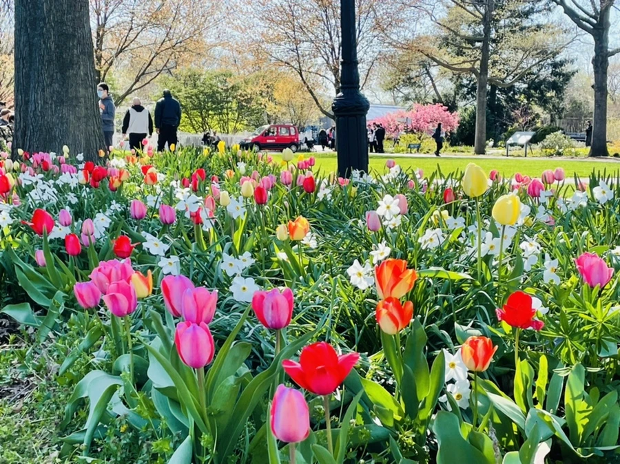 IMG_1557.jpg?type=w966