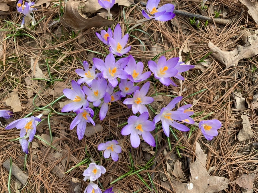 IMG_0433.jpg?type=w966