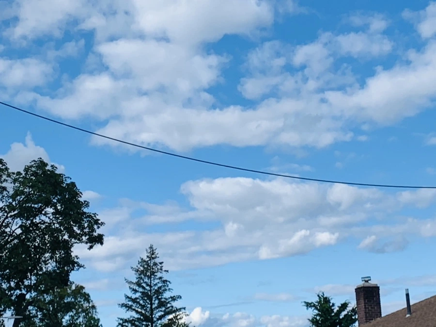 IMG_7327.jpg?type=w966