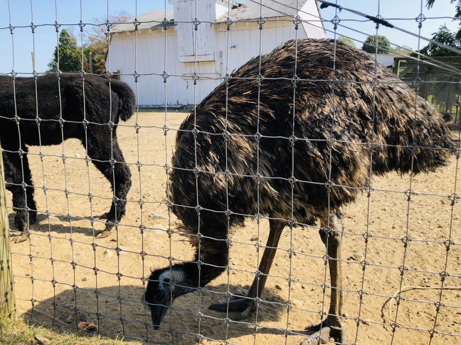 IMG_0778.jpg?type=w966