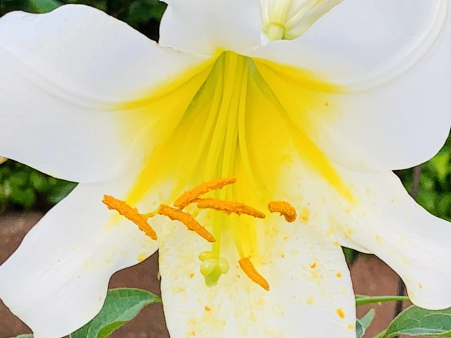 IMG_5968.jpg?type=w966