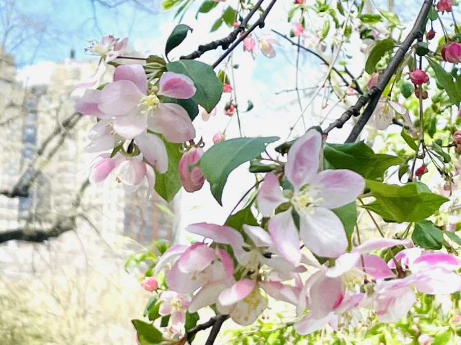 IMG_1143.jpg?type=w966