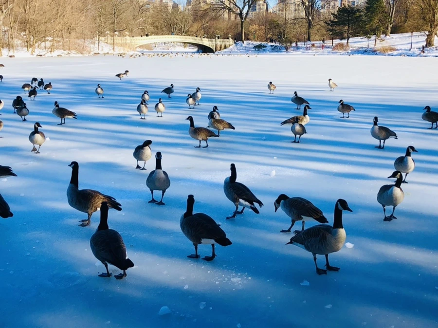 IMG_9917.jpg?type=w966