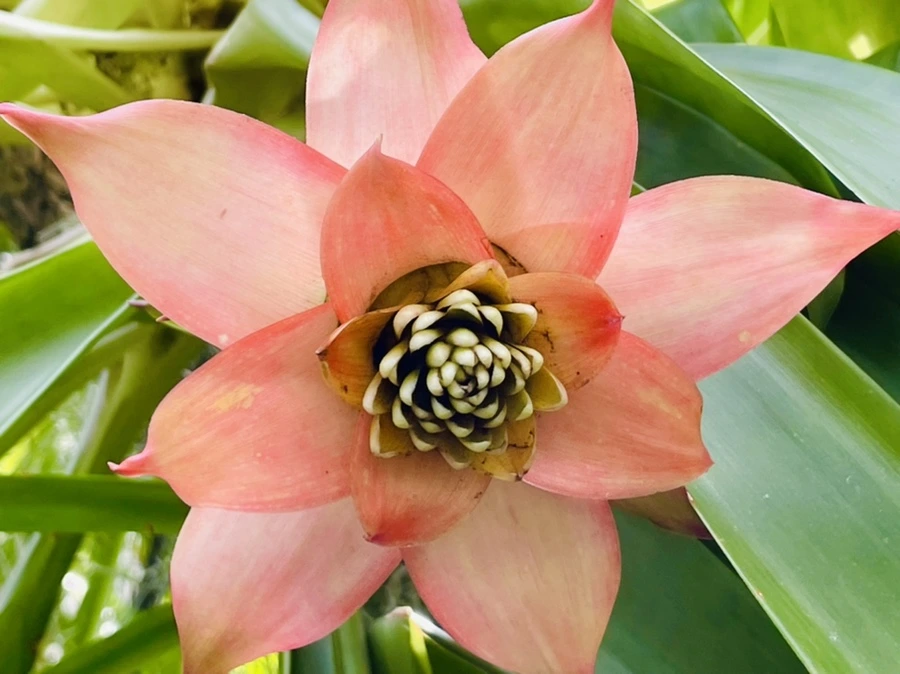 IMG_4469.jpg?type=w966