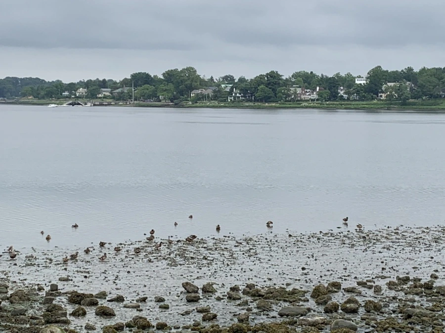 IMG_3723.jpg?type=w966