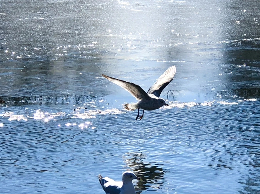 IMG_6881.jpg?type=w966