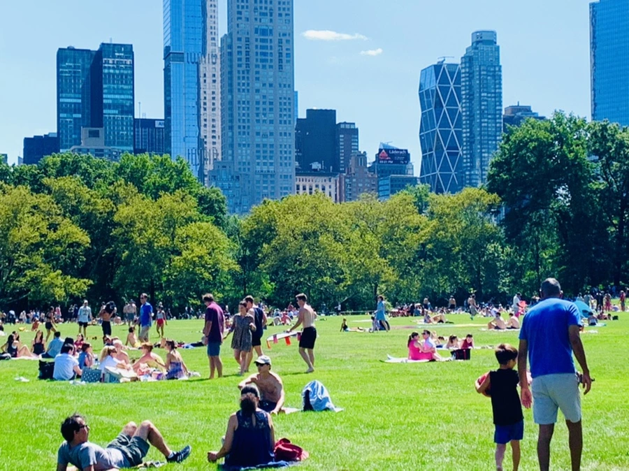 IMG_4393.jpg?type=w966