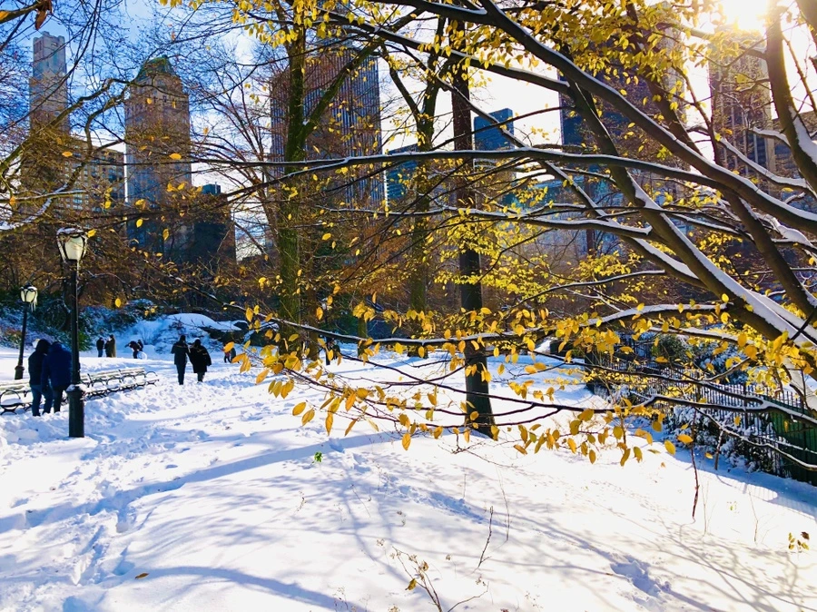 IMG_7042.jpg?type=w966