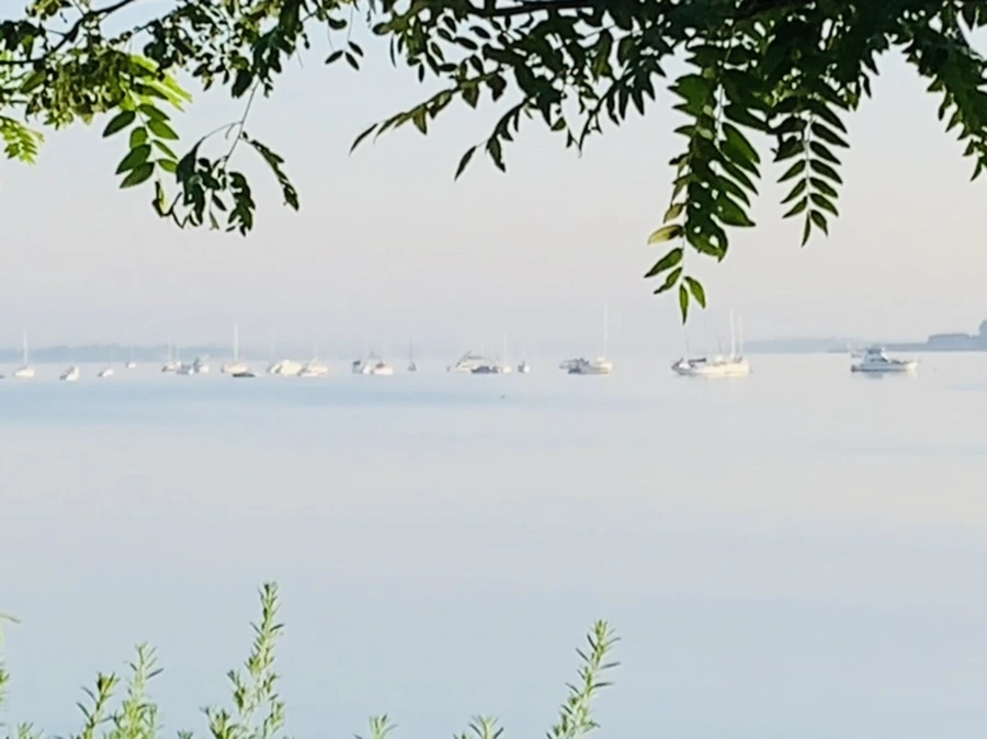 IMG_7420.jpg?type=w966