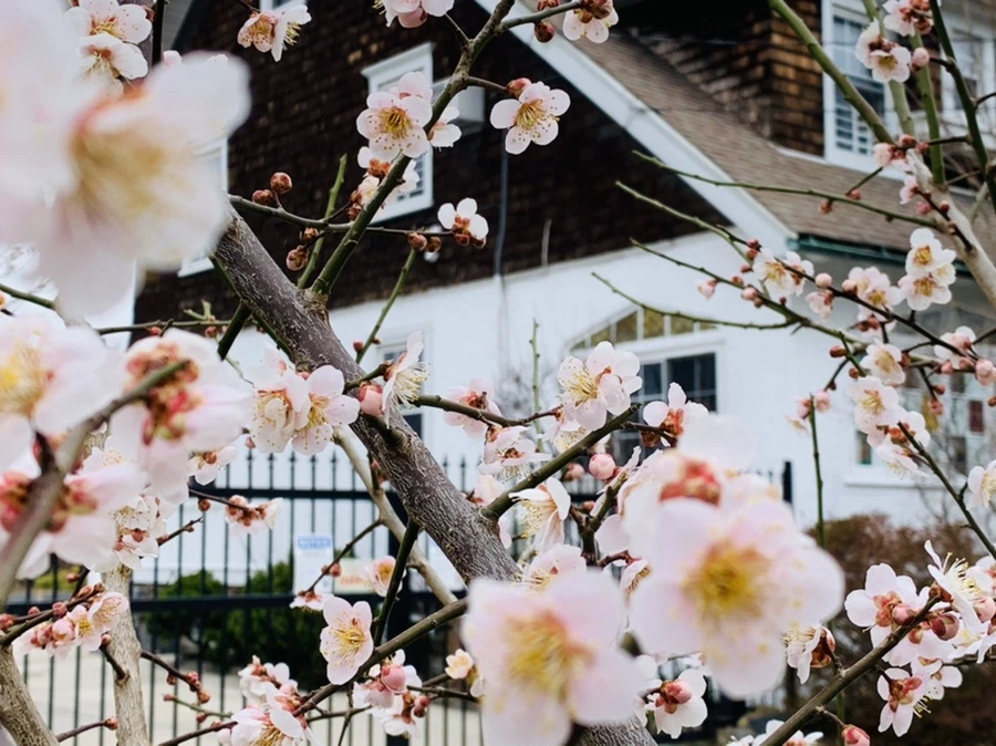 IMG_1673.jpg?type=w966