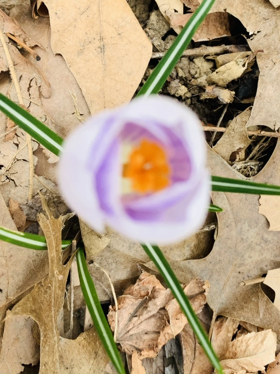 IMG_3519.jpg?type=w966