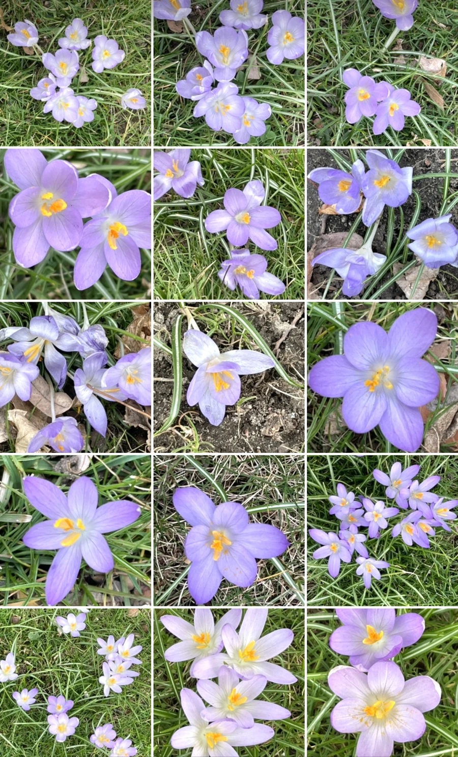 IMG_4142.jpg?type=w966