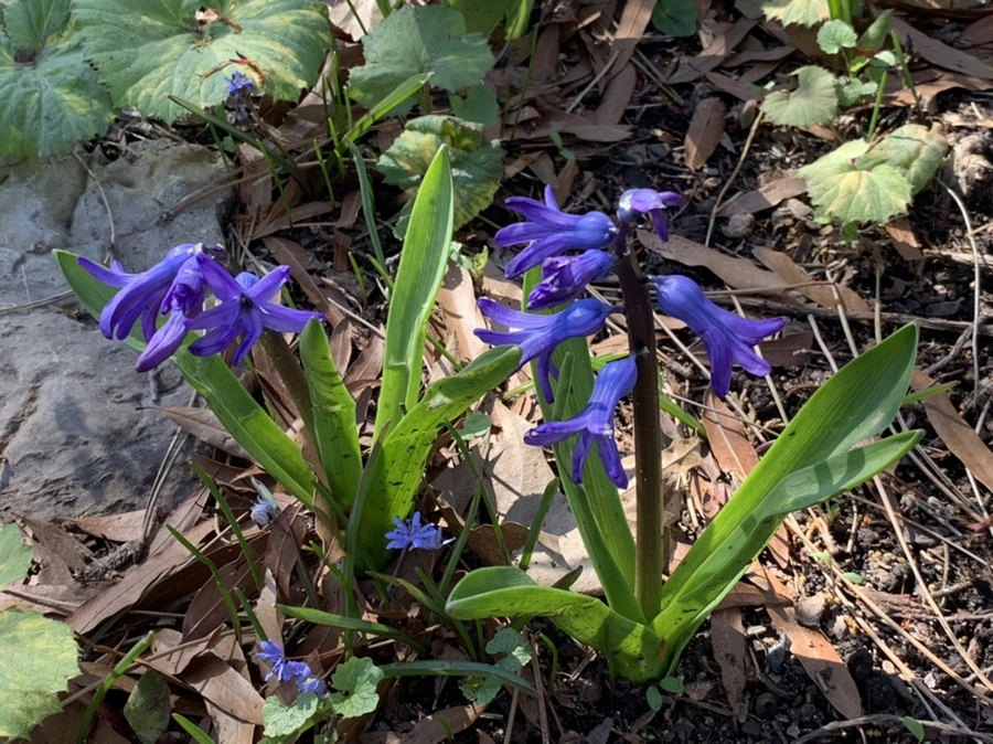 IMG_5785.jpg?type=w966