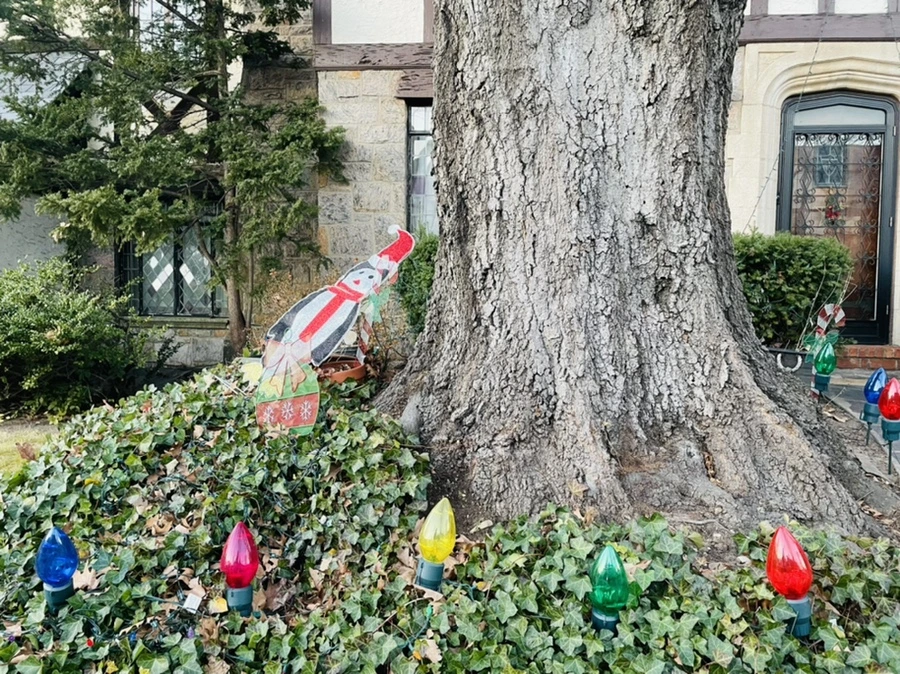 IMG_7540.jpg?type=w966