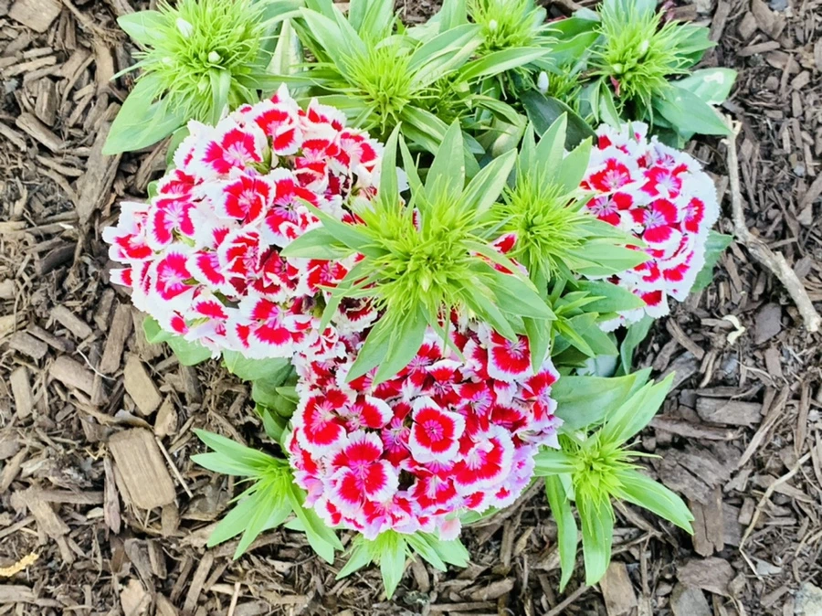 IMG_1920.jpg?type=w966