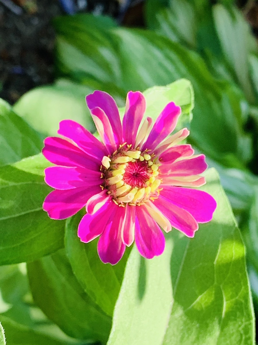 IMG_8725.jpg?type=w966