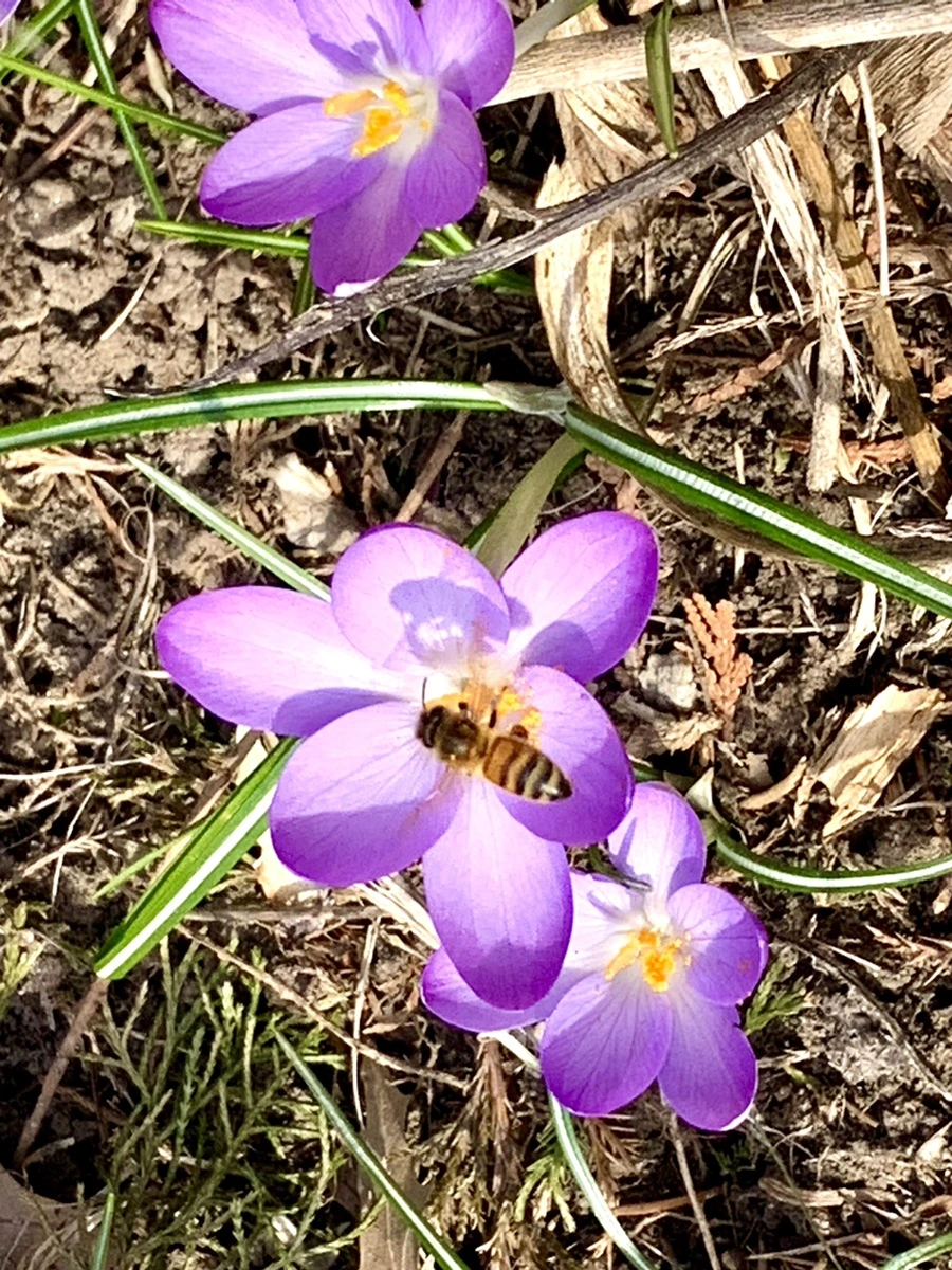 IMG_0272.jpg?type=w966