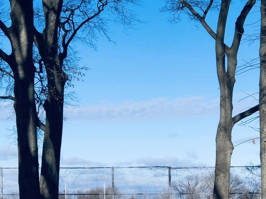 IMG_9812.jpg?type=w966