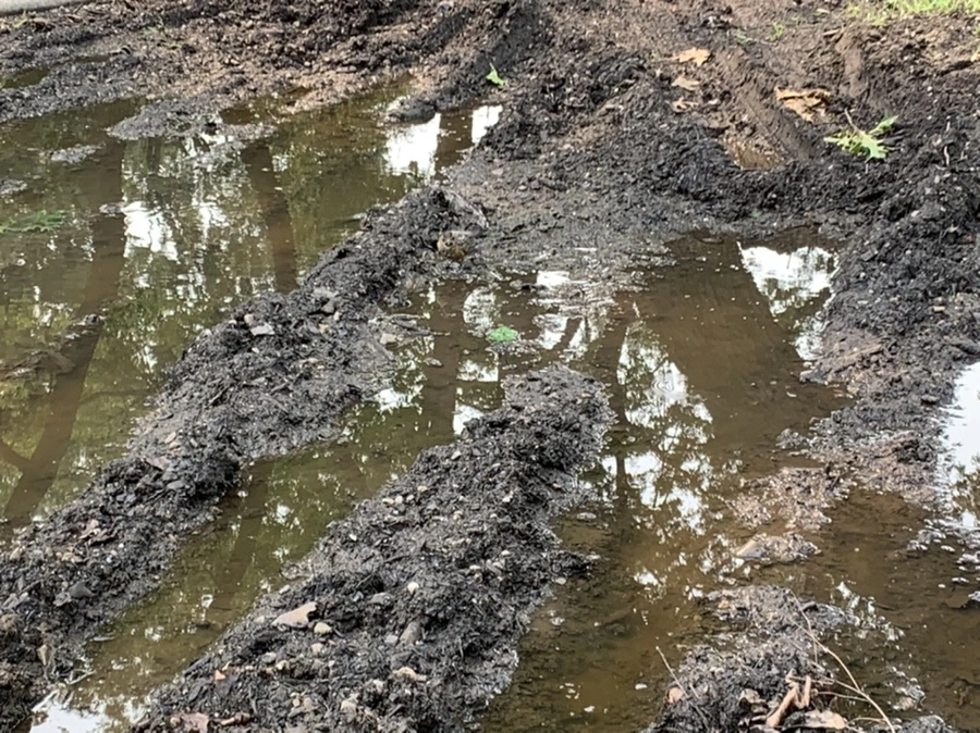 IMG_8305.jpg?type=w966