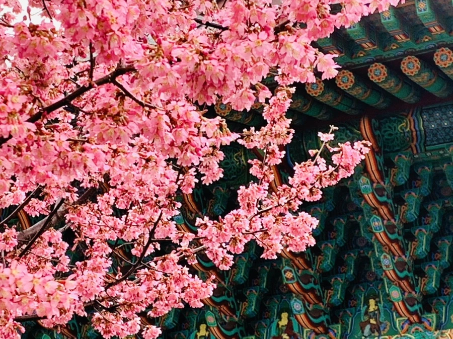 IMG_5246.jpg?type=w966