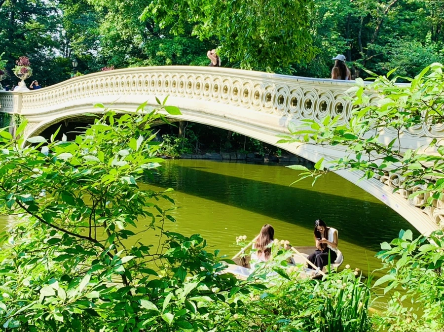 IMG_1738.jpg?type=w966