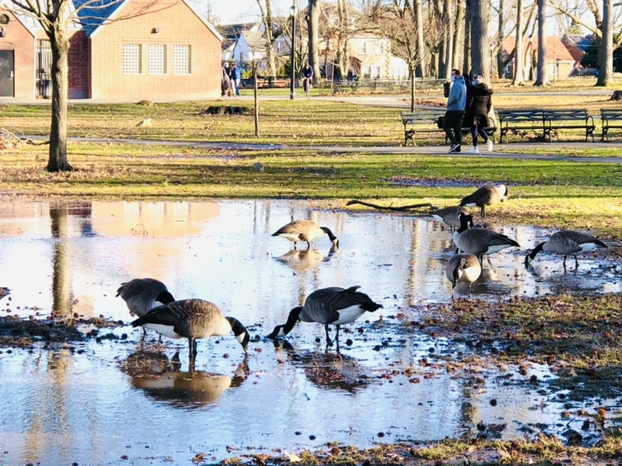 IMG_9282.jpg?type=w966