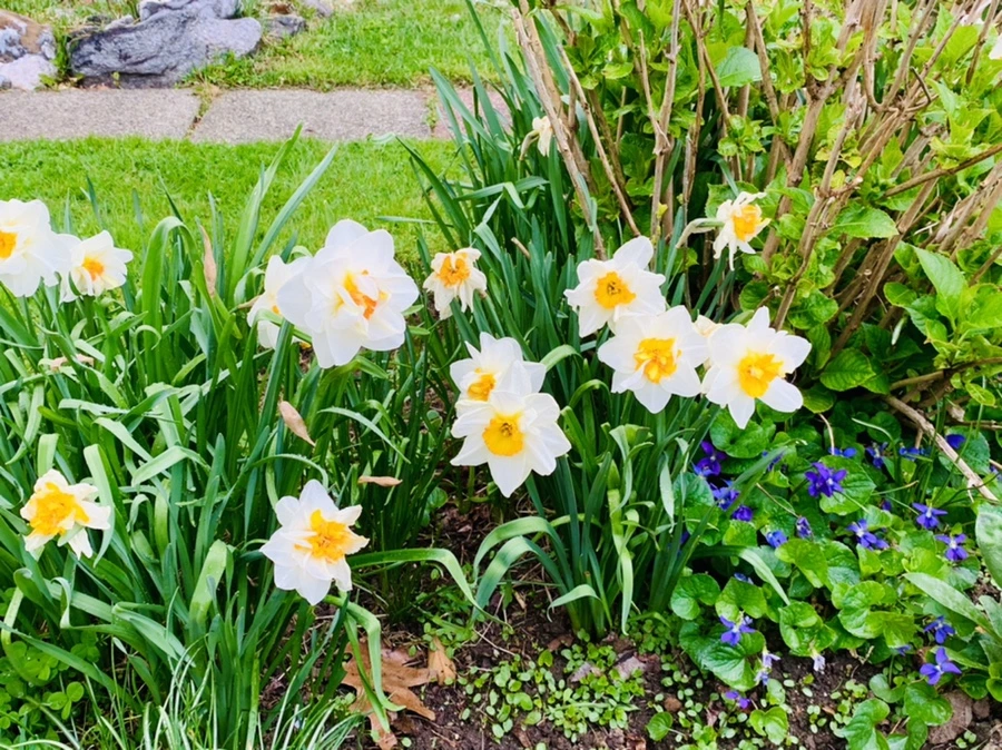 IMG_4057.jpg?type=w966