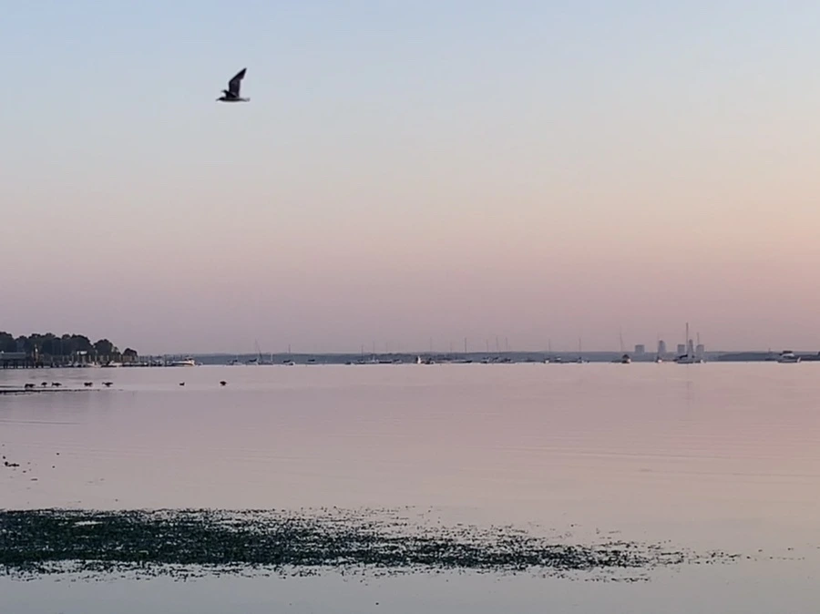 IMG_0151.jpg?type=w966