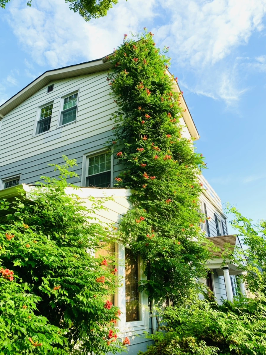 IMG_5836.jpg?type=w966