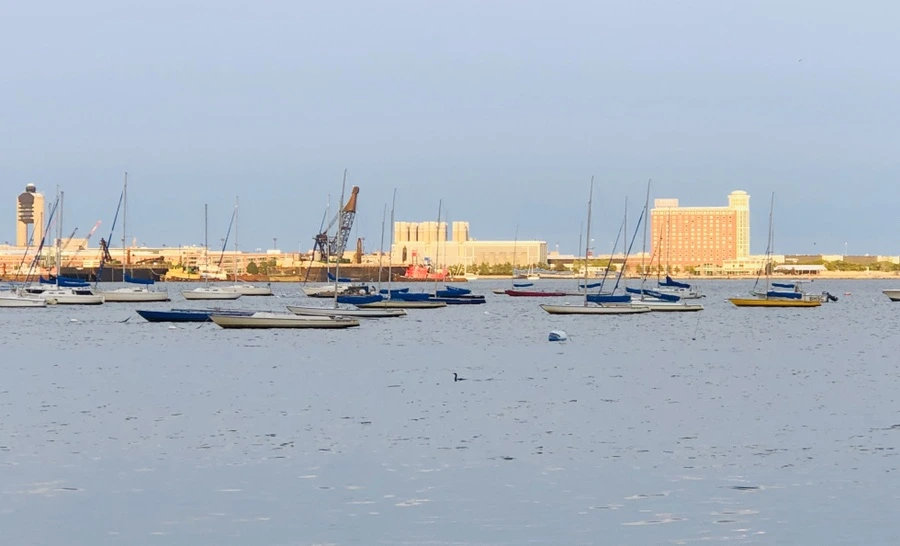 IMG_0636.jpg?type=w966