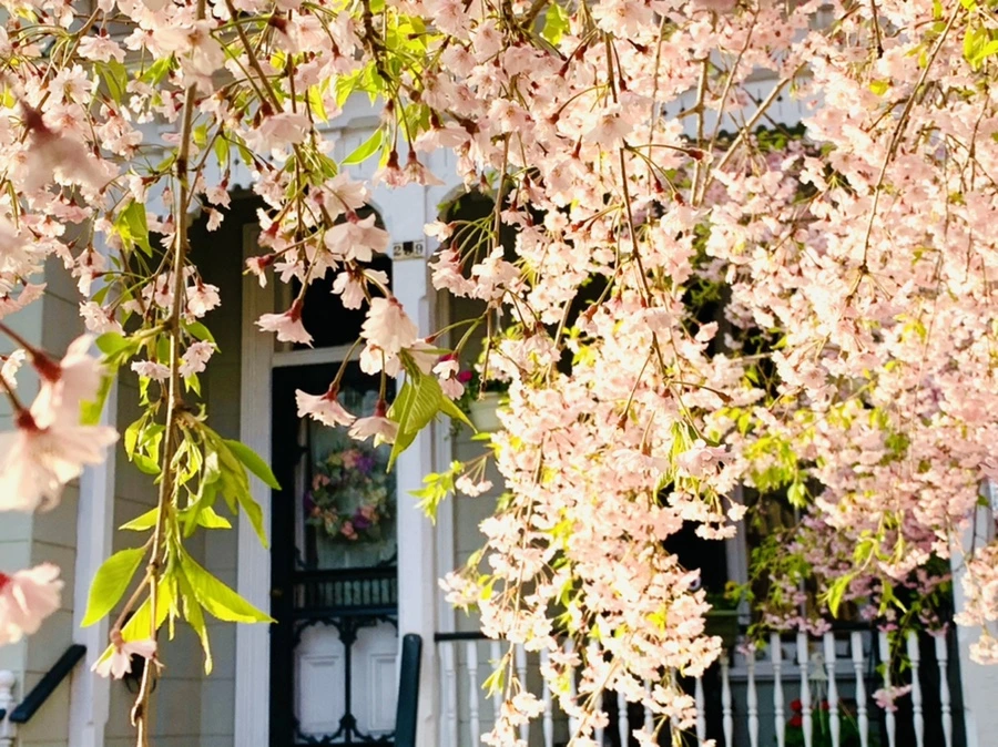 IMG_3682.jpg?type=w966