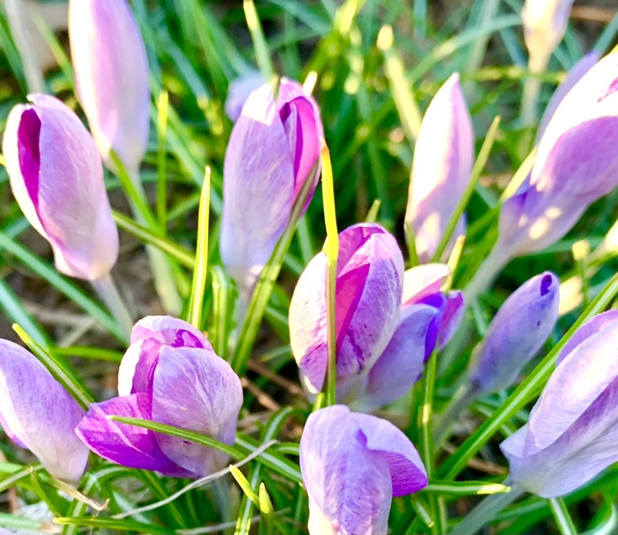 IMG_0756.jpg?type=w966