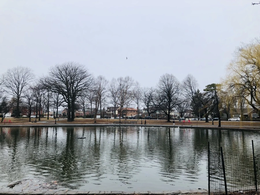 IMG_0035.jpg?type=w966