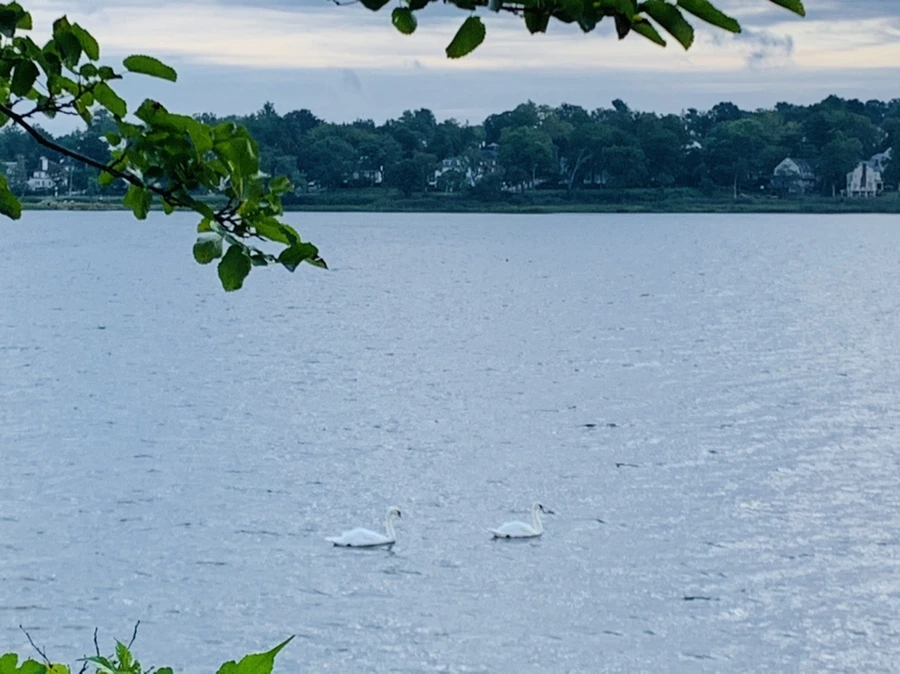 IMG_5808.jpg?type=w966