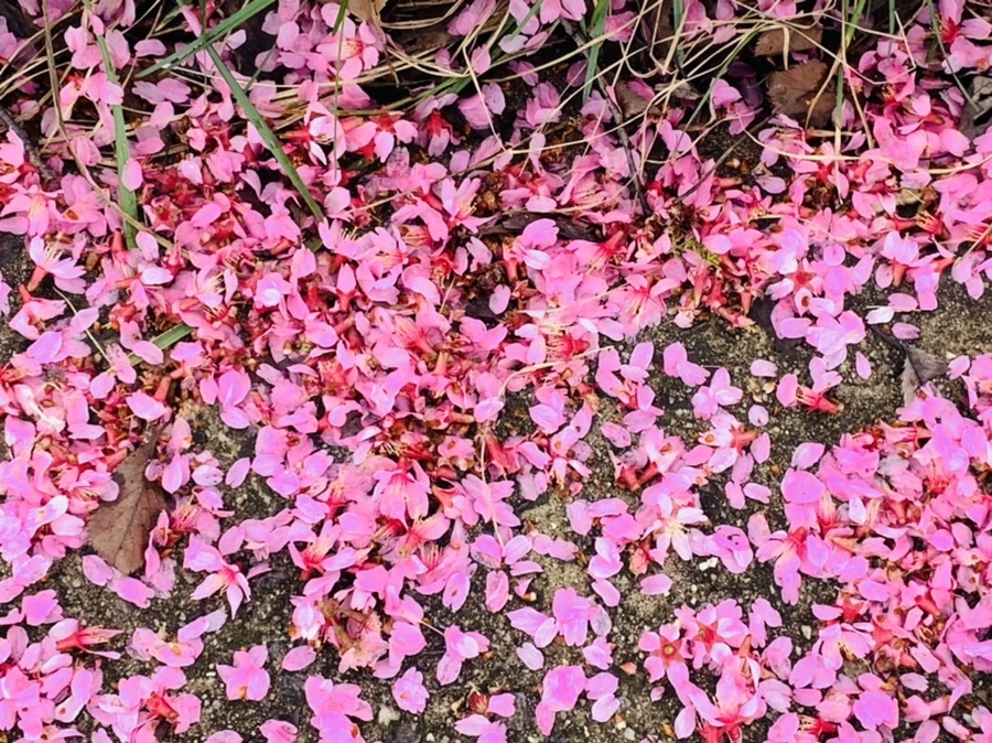 IMG_6276.jpg?type=w966