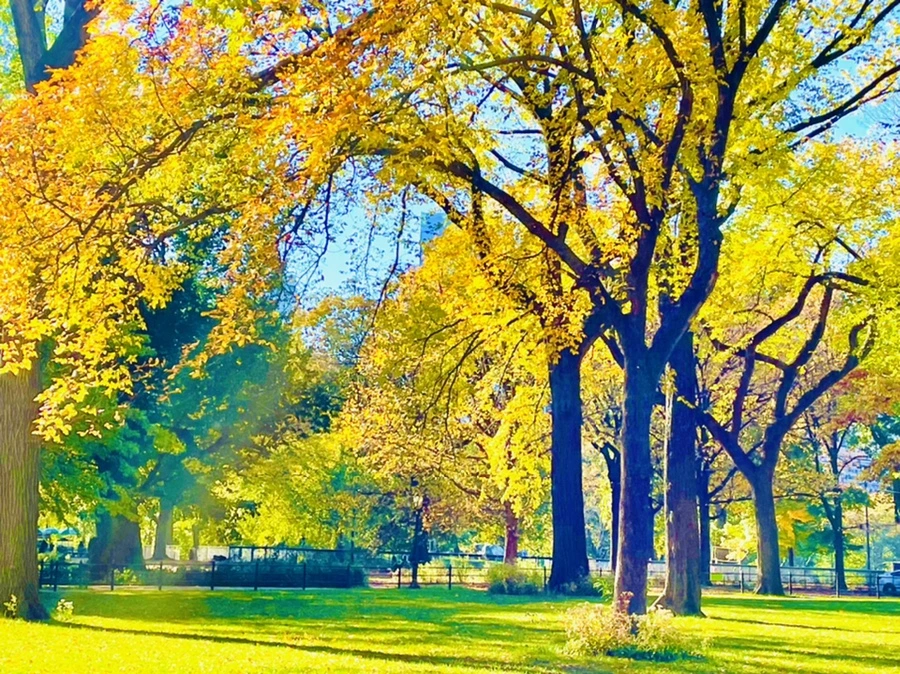 IMG_0638.jpg?type=w966