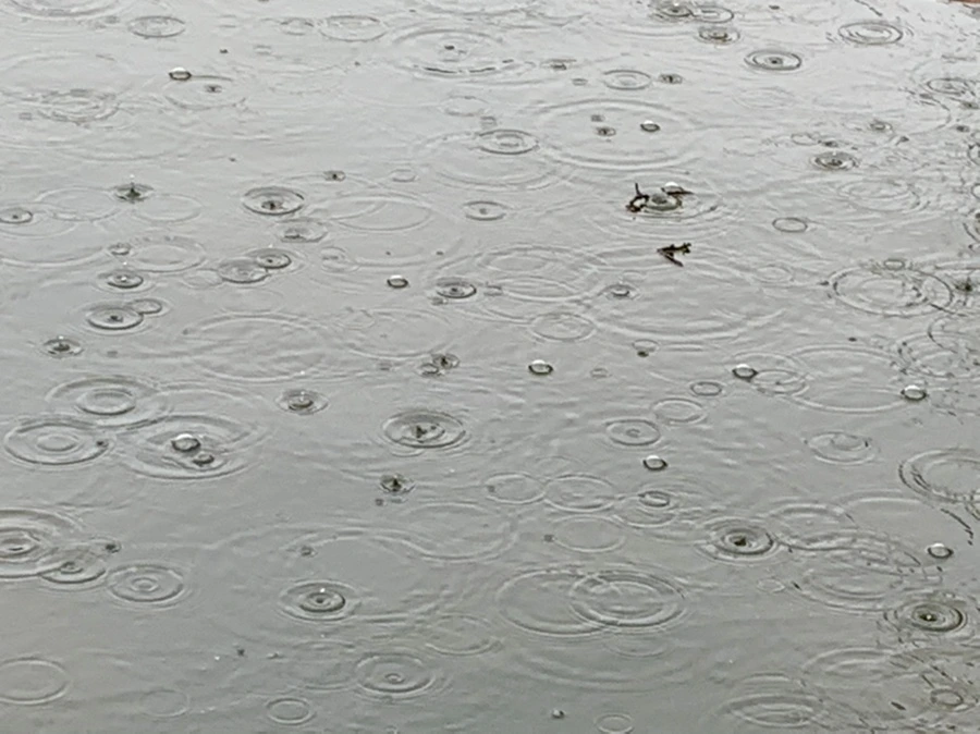 IMG_2090.jpg?type=w966