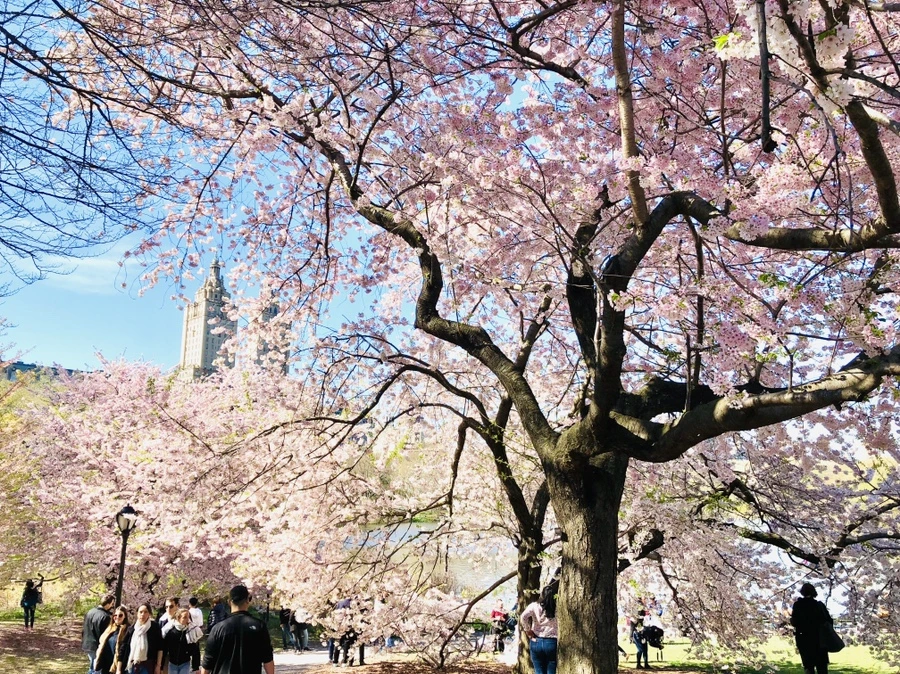 IMG_3128.jpg?type=w966