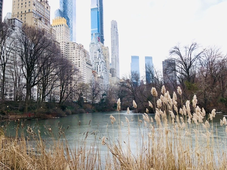 pyxsmEbA3TTdDikwGOVd_t2Nenk