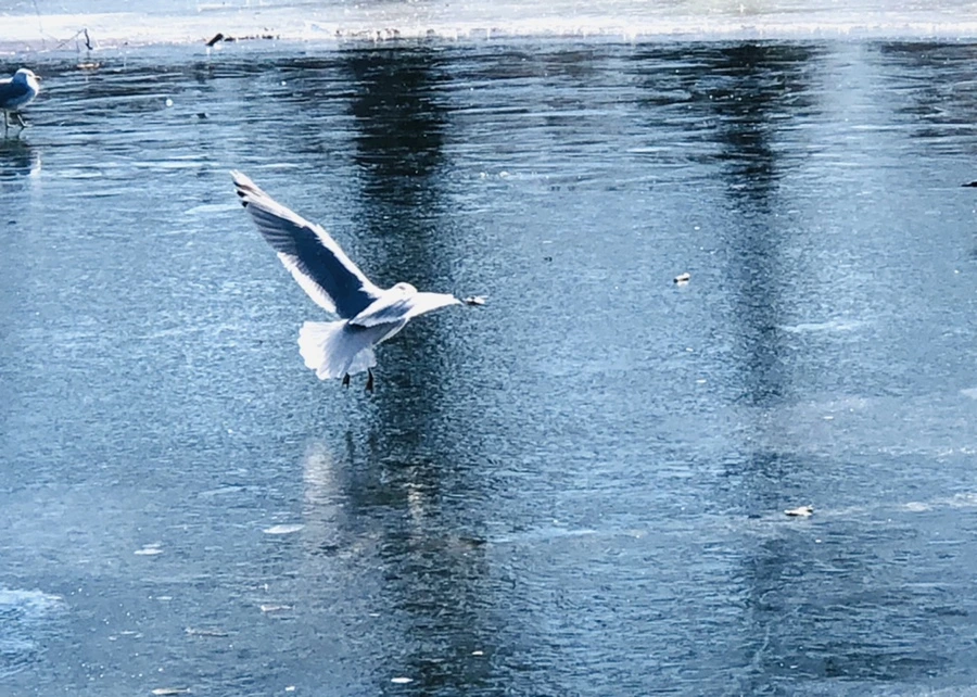 IMG_7744.jpg?type=w966