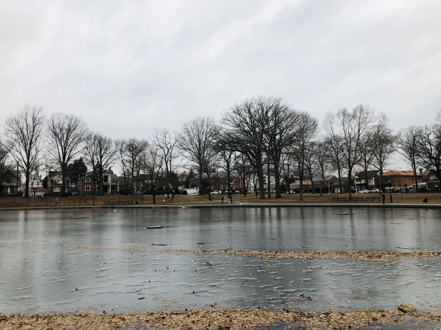 IMG_9067.jpg?type=w966