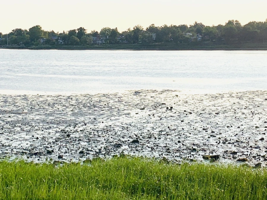 IMG_9807.jpg?type=w966