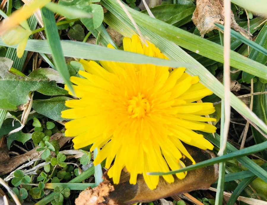 IMG_3408.jpg?type=w966