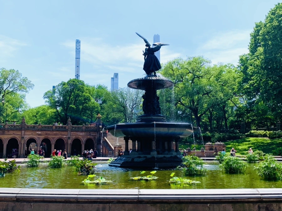 IMG_2329.jpg?type=w966